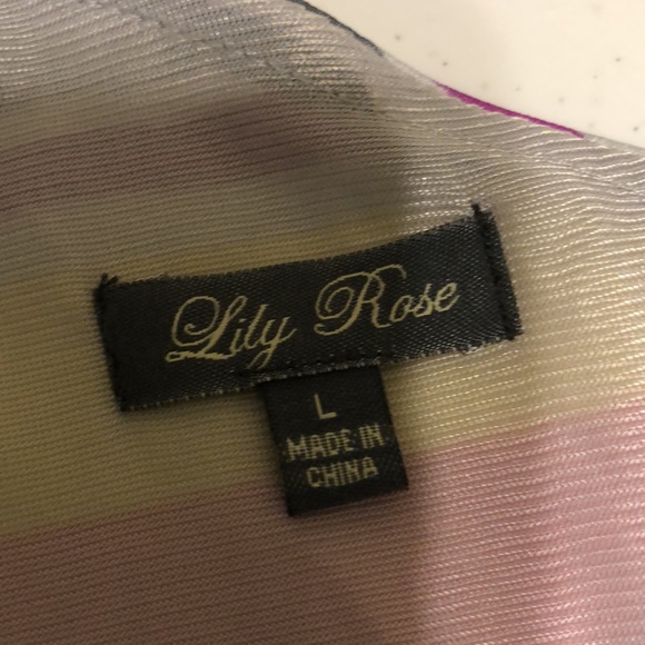 Lily Rose Dress Large - Picture 2 of 12